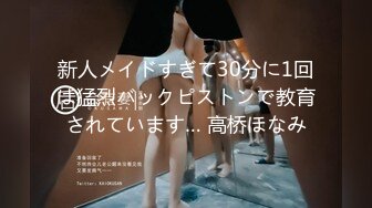 新人メイドすぎて30分に1回は猛烈バックピストンで教育されています… 高桥ほなみ