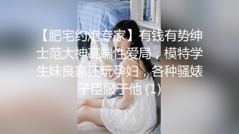 【肥宅约炮专家】有钱有势绅士范大神高端性爱局，模特学生妹良家还玩孕妇，各种骚婊子臣服于他 (1)