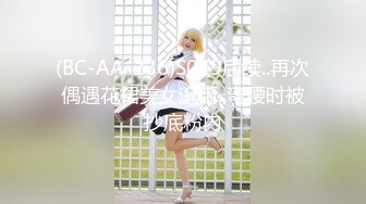 (BC-AA-236)S049后续..再次偶遇花裙美女逛街..弯腰时被抄底粉内