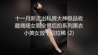 十一月新流出私房大神极品收藏商场女厕全景后拍系列黑衣小美女放个屁拉稀 (2)