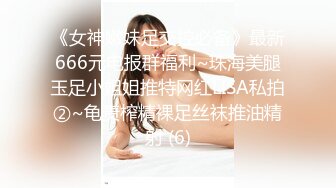 探花李寻欢500块一天租个美女 假冒女友回家过年惹怒我动真格 - 美酱