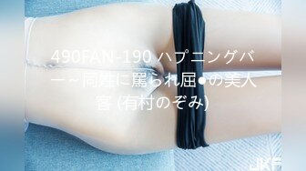 490FAN-190 ハプニングバー～同姓に罵られ屈●の美人客 (有村のぞみ)