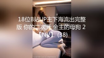 18位B站UP主下海流出完整版 你的二次元 金主的母狗 2 【NV】 (38)