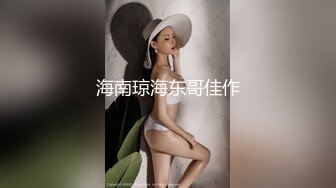 海南琼海东哥佳作