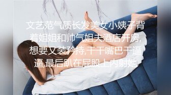 文艺范气质长发美女小姨子背着姐姐和帅气姐夫酒店开房,想要又装矜持,干干嘴巴干逼逼,最后趴在屁股上内射她