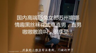 国内高端TS兔女郎苏州娜娜情趣黑丝袜花式草直男，直男嗷嗷嗷浪叫，很享受！