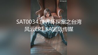 SAT0034.世界杯探案之台湾风云EP1.SA国际传媒