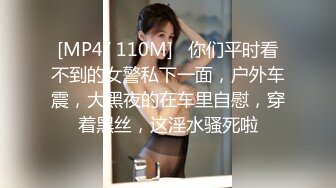 [MP4/ 110M]   你们平时看不到的女警私下一面，户外车震，大黑夜的在车里自慰，穿着黑丝，这淫水骚死啦