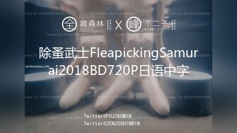 除蚤武士FleapickingSamurai2018BD720P日语中字