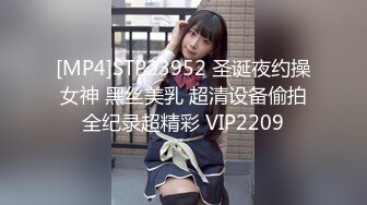 [MP4]STP23952 圣诞夜约操女神 黑丝美乳 超清设备偷拍全纪录超精彩 VIP2209