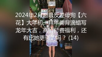 2024年2月超级反差母狗【六花】大年初一拜年美背滴蜡写龙年大吉，高价付费福利，还有比她更骚的吗？ (14)