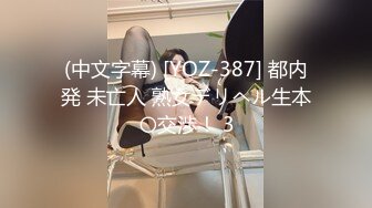 (中文字幕) [YOZ-387] 都内発 未亡人 熟女デリヘル生本〇交渉！ 3