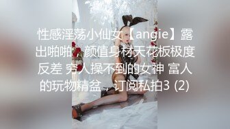 性感淫荡小仙女【angie】露出啪啪，颜值身材天花板极度反差 穷人操不到的女神 富人的玩物精盆，订阅私拍3 (2)